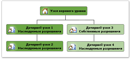 Иерархия коллекции узлов с дочерними узлами, наследующими разрешения, и дочерним узлом с собственными разрешениями.