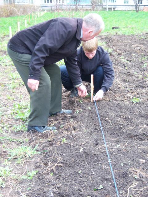 Начальник лесхоза Нюхнин Л.Г. показывает волонтеру правила разбивки участка для посадки сосны
