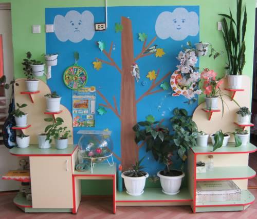 Уголок природы в садике Уголок природы в садике