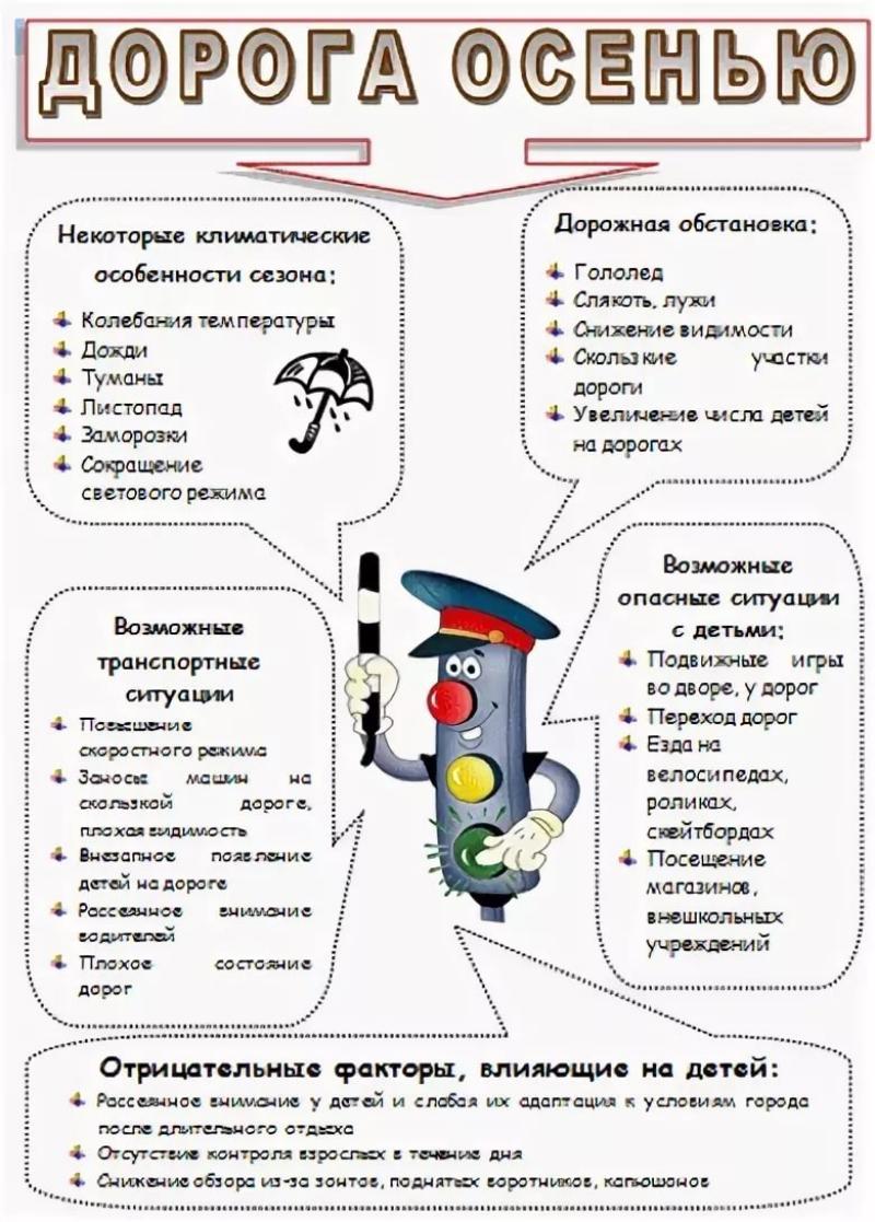 Дорожная безопасность