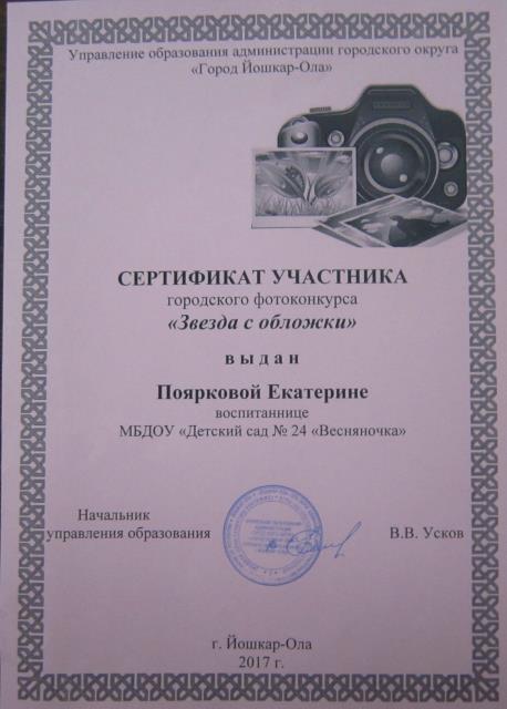 Сертификат Поярковой Кате 17