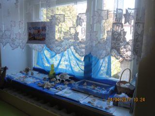 Музей ракушек оформлен на подоконнике групповой комнаты. На синей ткани образцы ракушек, морских звезд. 