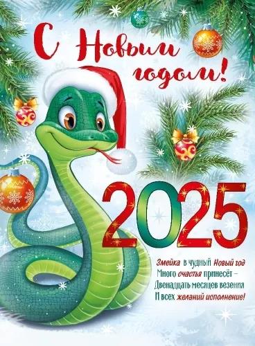 С новым 2025 годом!