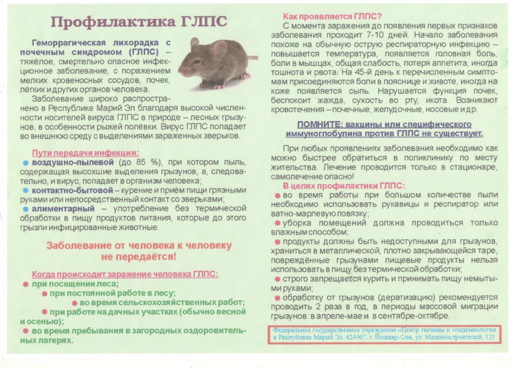 http://edu.mari.ru/mouo-yoshkarola/dou65/DocLib25/ГЛПС%20и%20эетеробиоз/ГЛПС.jpg