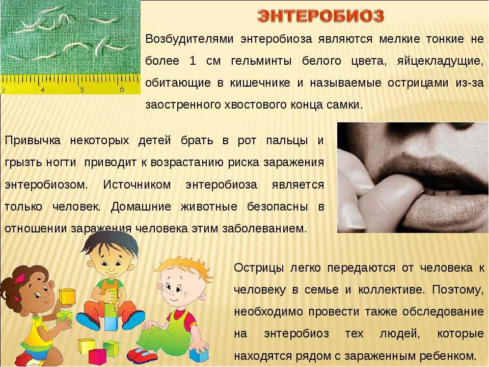 http://edu.mari.ru/mouo-yoshkarola/dou65/DocLib25/ГЛПС%20и%20эетеробиоз/энтеробиоз.jpeg