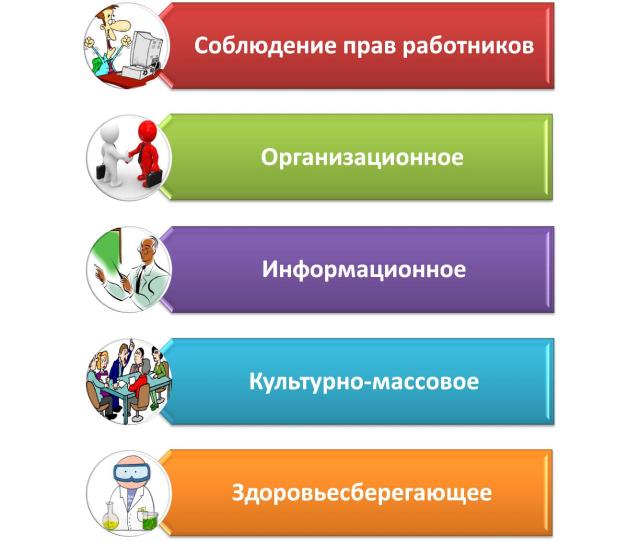 направления работы