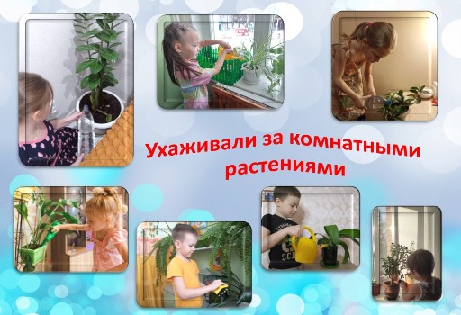 http://edu.mari.ru/mouo-yoshkarola/dou65/DocLib3/Новостное%20фото/14.04.2020/уход.JPG