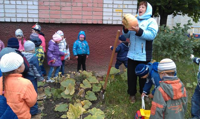Собираем урожай в доу Собираем урожай в доу