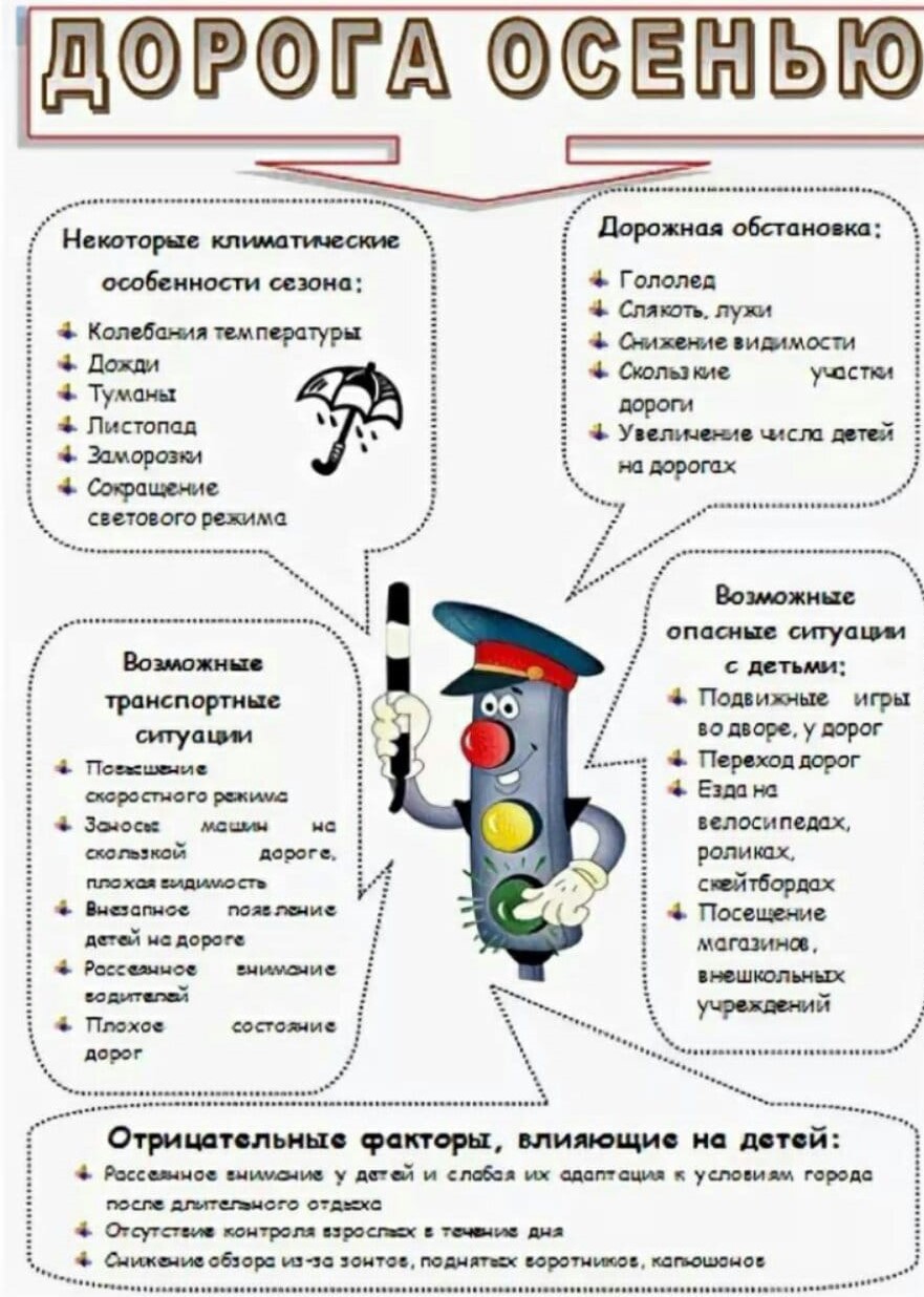 Паспорт безопасного движения