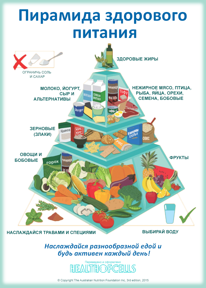 Пирамида здорового питания в картинках