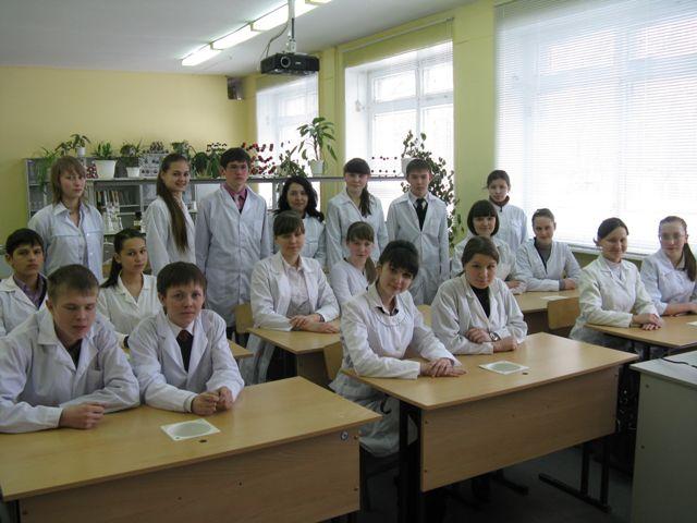 Веб-просмотр